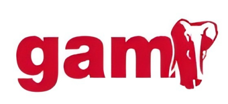 GAM España Servicios de Maquinaria, S.L.U.