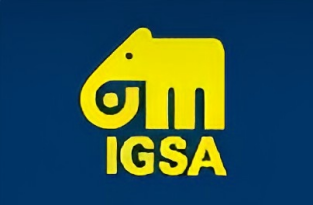 IGSA S.A. de C.V.